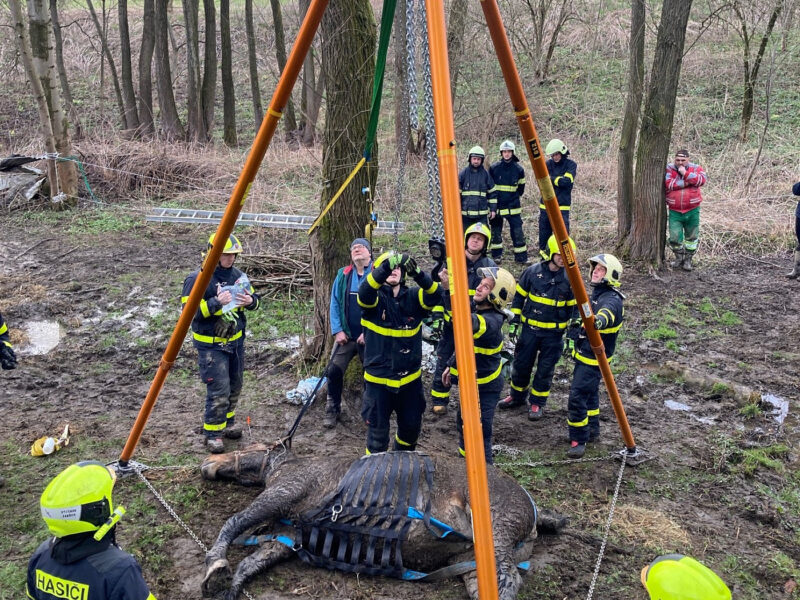 Horse rescue possible also thanks to the PARATECH Tripod system